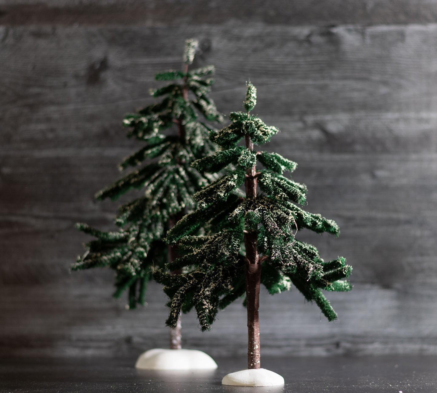 Village Hemlock Trees