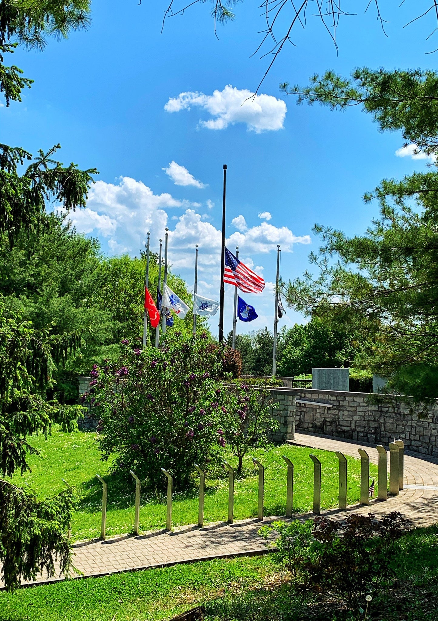 American and Military Flags at Highland Park, Rochester, NY Photo Print