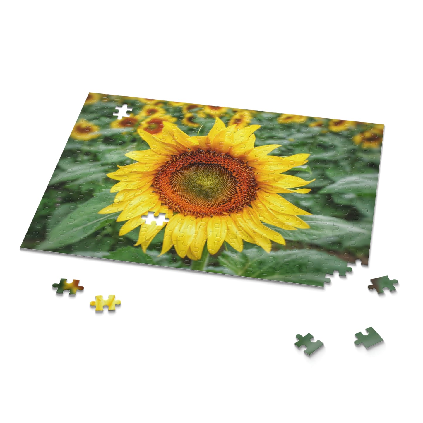 252 Piece Sunflower Puzzle!
