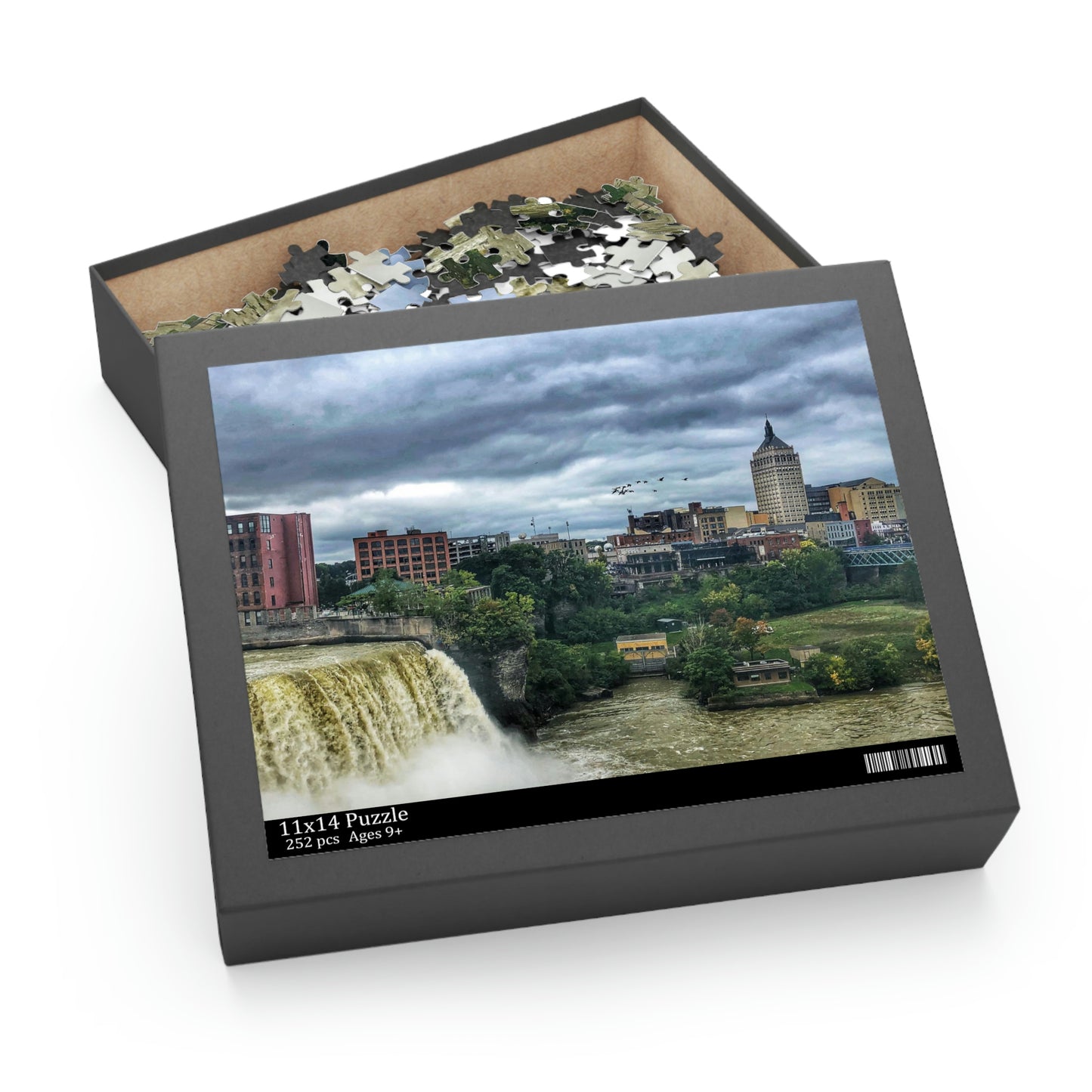 252 Piece High Falls Rochester, New York Puzzle